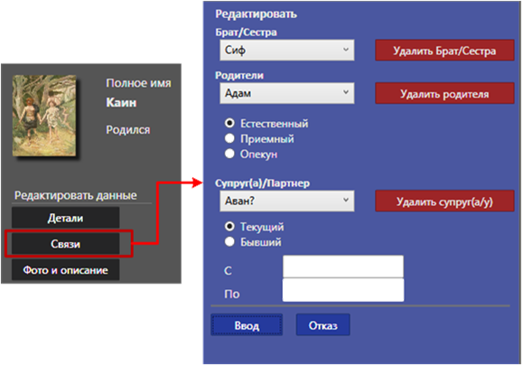 Основные связи персоны