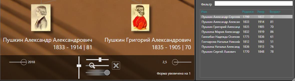 Дополнительная панель